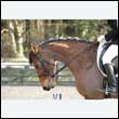 durdress25_0206