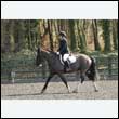 durdress25_0208