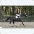 durdress25_0214