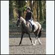 durdress25_0215