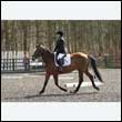 durdress25_0219