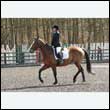 durdress25_0220