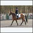 durdress25_0221