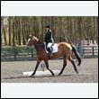durdress25_0222