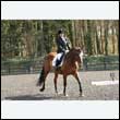 durdress25_0223