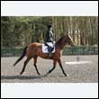 durdress25_0225