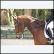 durdress25_0227