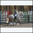 durdress25_0229
