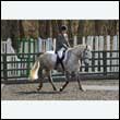 durdress25_0231