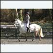 durdress25_0233