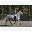 durdress25_0235