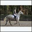 durdress25_0236