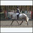 durdress25_0237