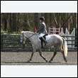 durdress25_0238