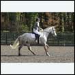 durdress25_0239