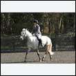 durdress25_0241