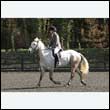 durdress25_0242