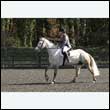 durdress25_0243