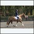 durdress25_0246