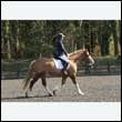 durdress25_0247