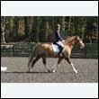 durdress25_0249