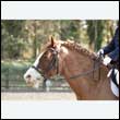 durdress25_0253