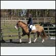 durdress25_0254
