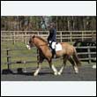 durdress25_0255