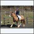 durdress25_0256