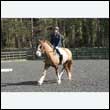 durdress25_0259