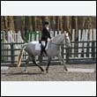 durdress25_0262