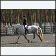 durdress25_0264