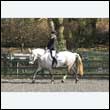 durdress25_0265