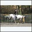 durdress25_0266