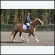 durdress25_0268