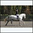 durdress25_0271