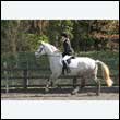 durdress25_0272