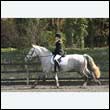 durdress25_0274