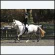 durdress25_0276