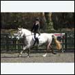 durdress25_0277