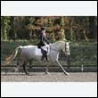 durdress25_0279