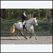 durdress25_0280