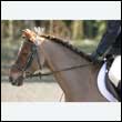 durdress25_0286