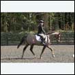 durdress25_0287