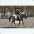 durdress25_0293