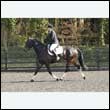 durdress25_0297