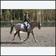 durdress25_0303