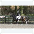 durdress25_0306