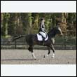 durdress25_0307