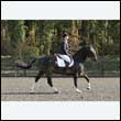 durdress25_0309